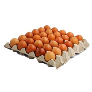 HUEVOS