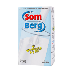 BEBIDA LACTEA SOM BERG 1L