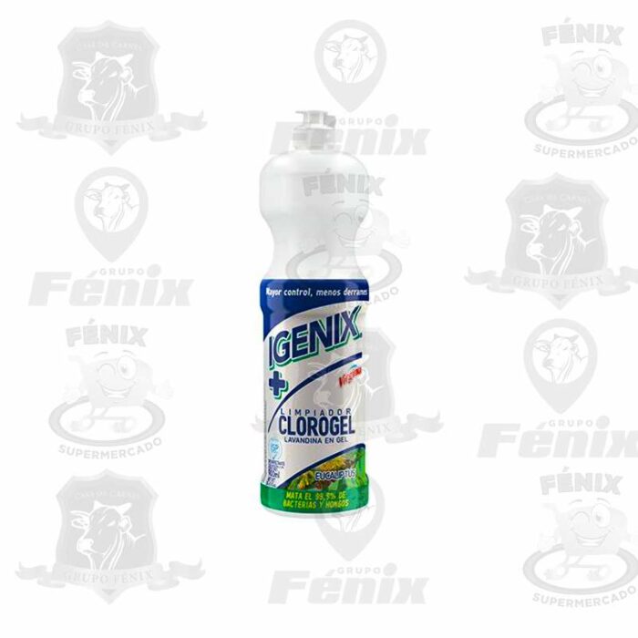 IGENIX CLOROGEL EUCALIPTUS 900ML