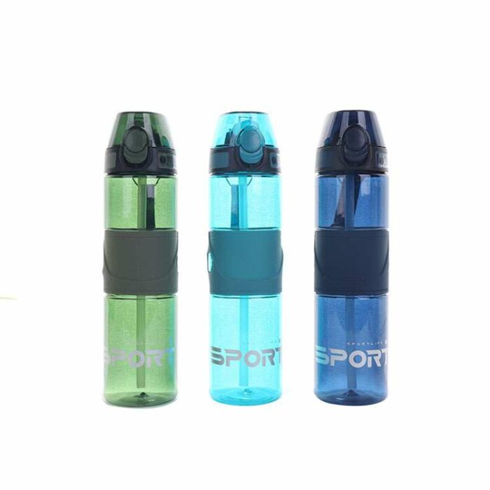 BOTELLA TERMICA 700ML