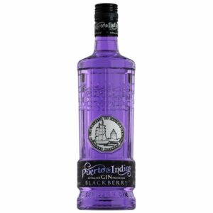 GIN PUERTO DE INDIAS BLACKBERRY 700ML