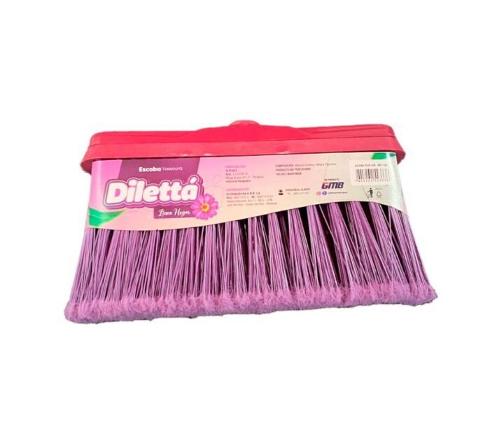 ESCOBA DILETTA C/PALO PLUS LAR