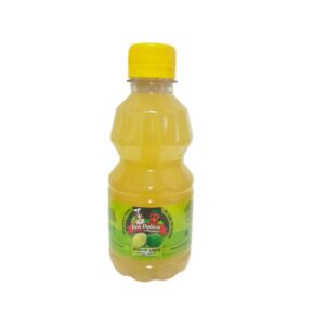 JUGO DE LIMON DON DULZON 250ML