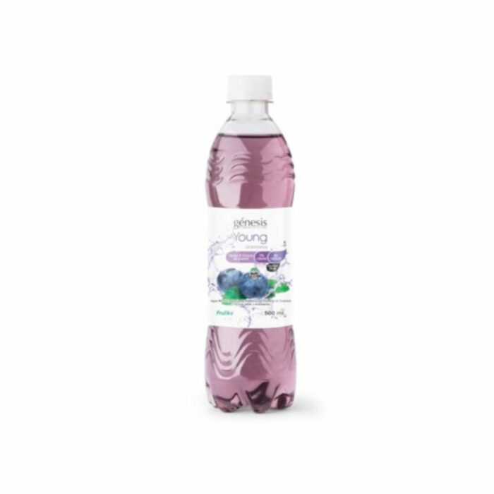 AGUA SABORIZADA GENESIS ARANDANO 500ML