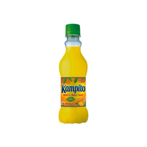 JUGO KAMPITO MBURUCUYA NARANJA MANGO 250ML