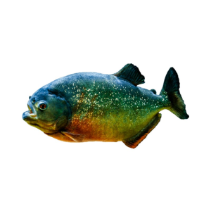 PESCADO PIRAÑA EL KG