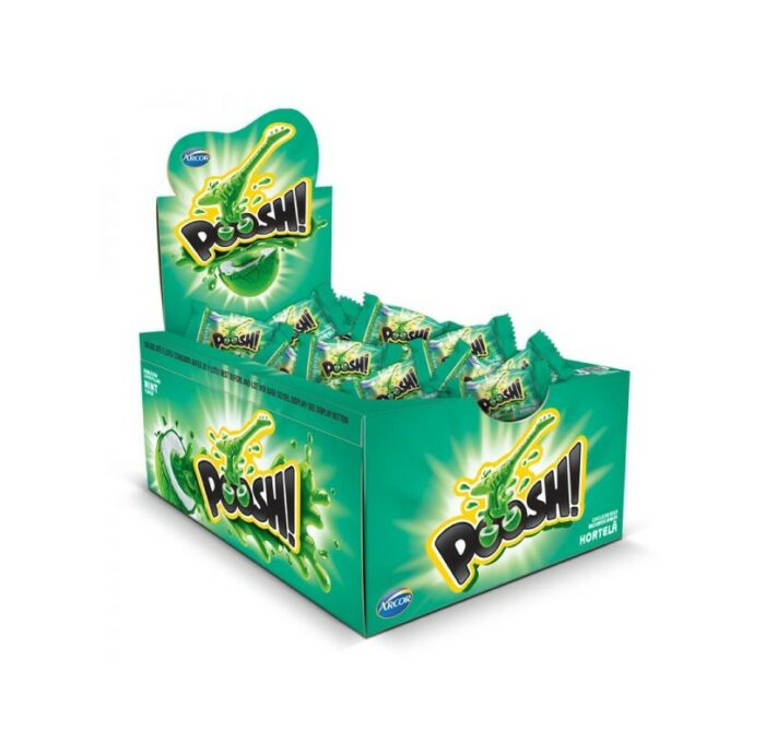 CHICLE HORTELA POOSH ARCOR 200GR