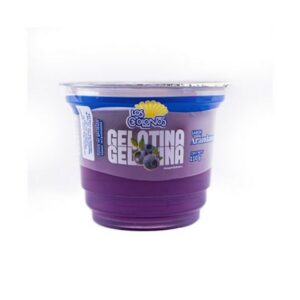 GELATINA EN POTE LOS COLONOS ARANDANO 110GR